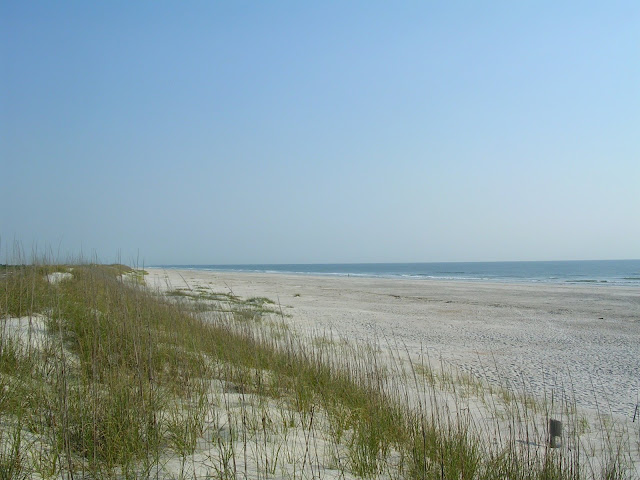 Anastasia State Park Florida Anastasia State Park Florida