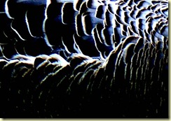 WhatonEarth5