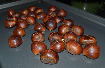 DSC_1175 DSC_1175