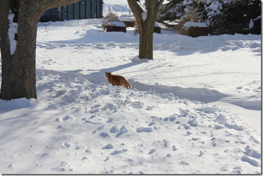 Winter 012 Winter 012