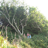 IMG_2200.JPG