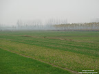 DSC02837_副本.JPG
