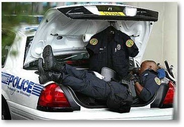 [SAcophardatwork6.jpg]