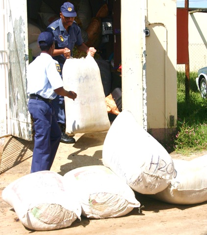 [Sheepmoor Dagga haul worth millions March 28 2009 (2)[4].jpg]