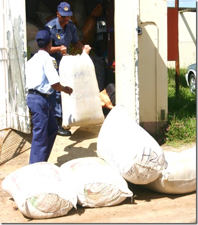 Sheepmoor Dagga haul worth millions March 28 2009 (2)