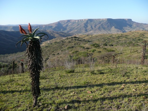 [KZN[4].jpg]