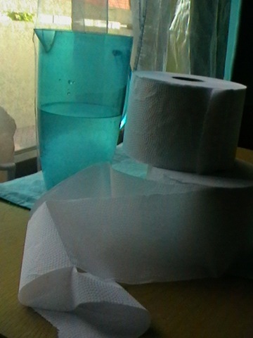 [Eco toilet paper test June 2009 DayTwo[4].jpg]