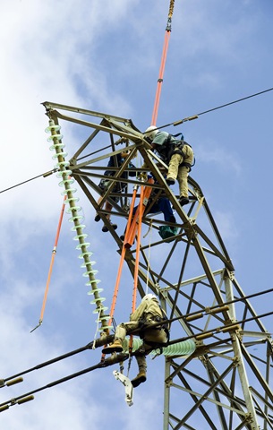[ESKOM skilled engineers say they have no future at the SA parastatal[5].jpg]