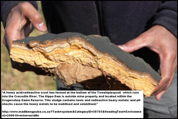 Radioactive acid mine-sludge crust formed in the Tweelopies river flowing into the Hartbeespoort And Hippo Dams