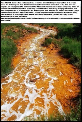 [Acid Mine Drainage from West Rand Mines Mariette Liefferink Hartbeespoortdam[8][11].jpg]