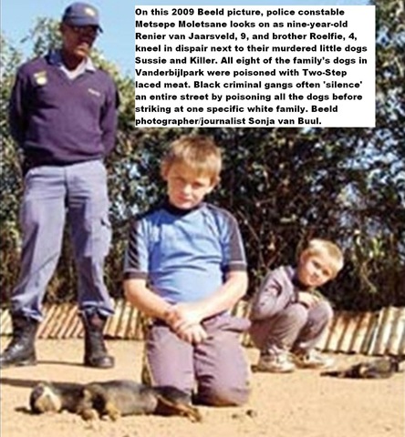 [Dogs poisoned Afrikaans kids grieve VdBijlParkApr182009[4].jpg]