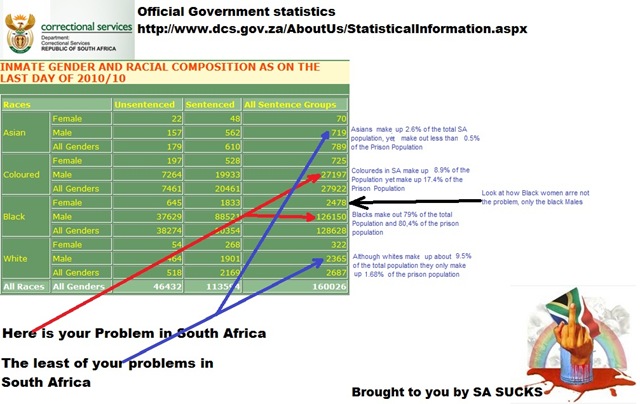 [Racial composition of jailed SA criminals SA correctional services STATS[6].jpg]