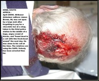 Brown James 98 Alzheimer sufferer arrested for forgetting to pay for chocolate bar KRIEL SAPS beaten to death in KRIEL cell_2