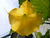 dscf0266.jpg