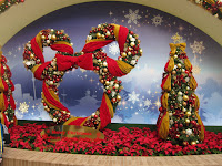 IMG_3305.JPG Photo