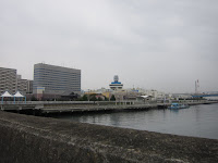 IMG_3481.jpg Photo