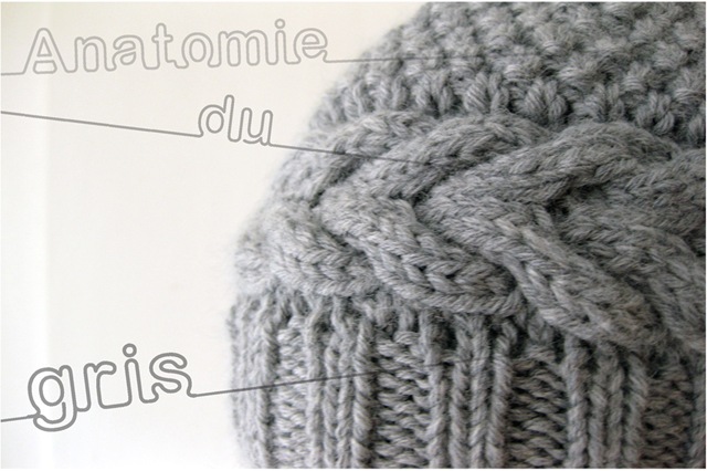 [anatomie du gris1[5].jpg]