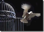 libertad