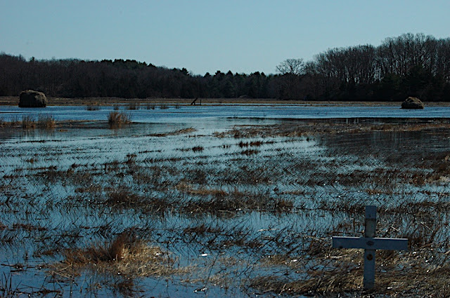 DSC_6174.JPG
