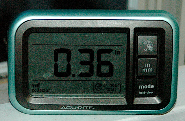 DSC_7365.JPG