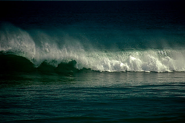 DSC_7509.JPG