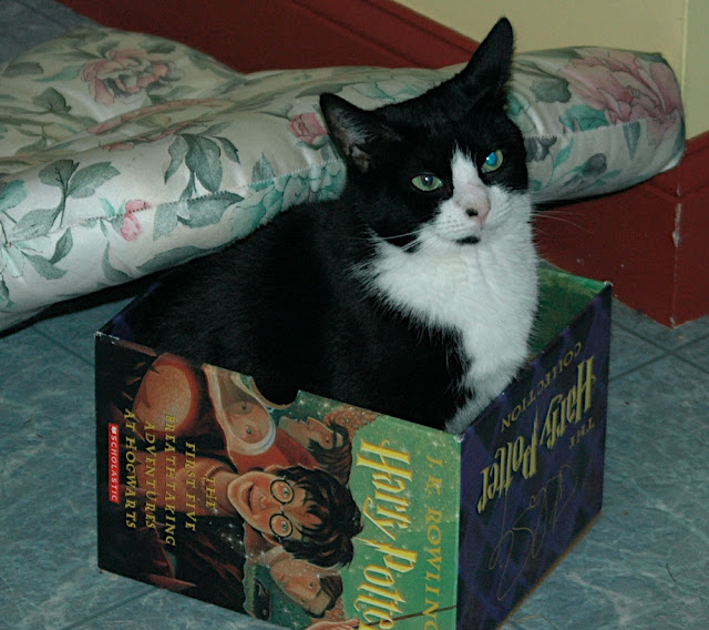 DSC_7484.JPG