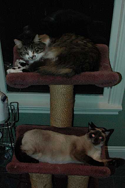 DSC_8208.JPG