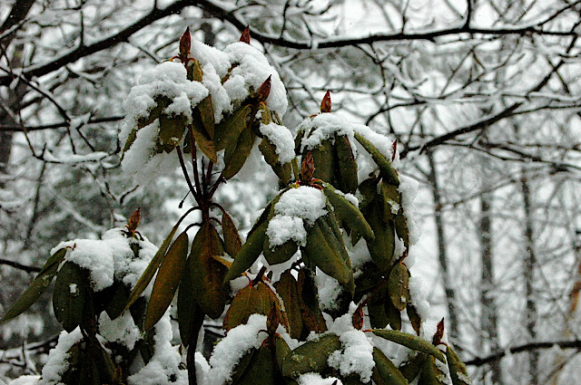 DSC_8899.JPG