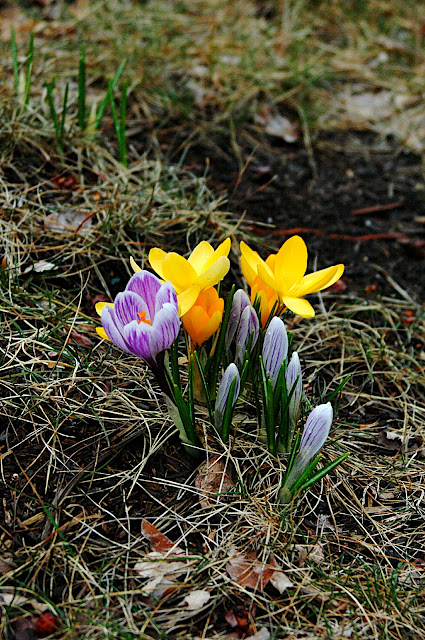 DSC_8953.JPG