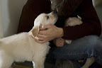 foto3/
