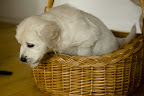 foto9/