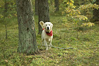 foto9/
