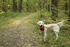 foto13/
