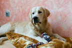 foto4/