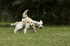 foto3/