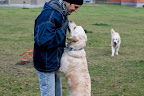 foto13/