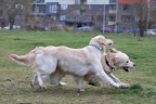 foto2/