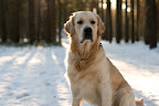 foto3/