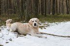 foto16/