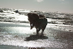 foto16/