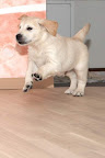 foto33/