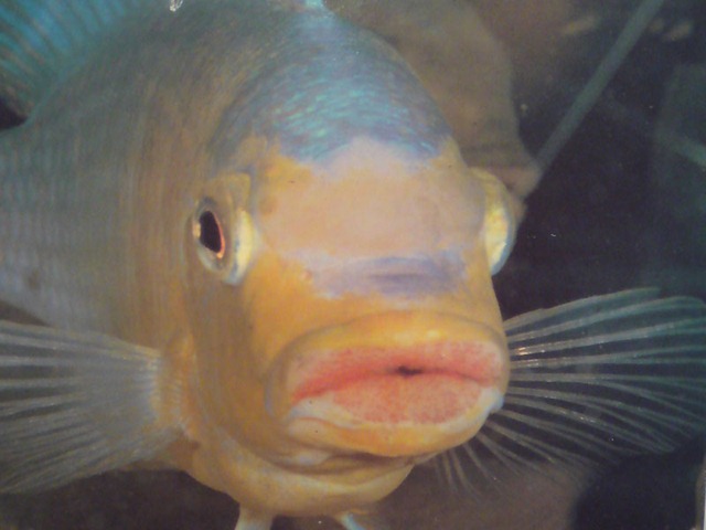 [bibir_mungil_800[2].jpg]