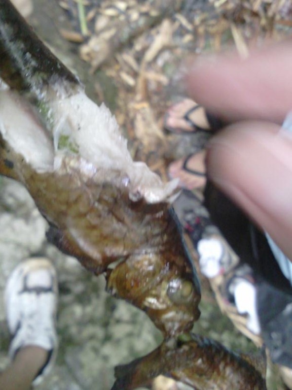 [20100418144423[3].jpg]