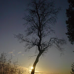 IM002372.JPG