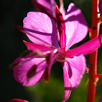 IMG_3254.JPG