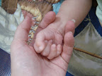 DSC03005.JPG