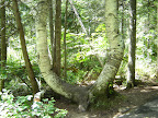DSC02078.JPG