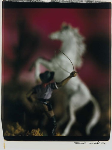 Polaroid david liventhal