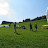 P7020369.JPG