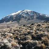 1163197838.jpg